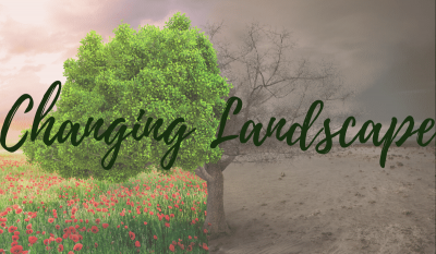 Changing Landscape Banner - Featuring a tree half alive in fall and half dead in winter