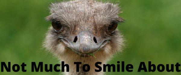 Not Much to Smile About Banner - Featuring an ostrich smiling at the camera