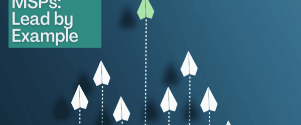 MSP Lead by Example Banner - Featuring Paper airplanes with a green one leading the group