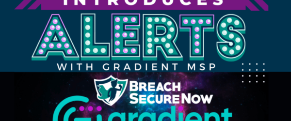 BSN-10.17-Gradient-MSP-1024x597