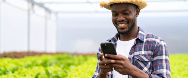 Farmer Holding Phone A man wearing a straw hat and a plaid shirt stands in a greenhouse, smiling and holding a smartphone while examining large green plants. Sunlight filters through the greenhouse roof.