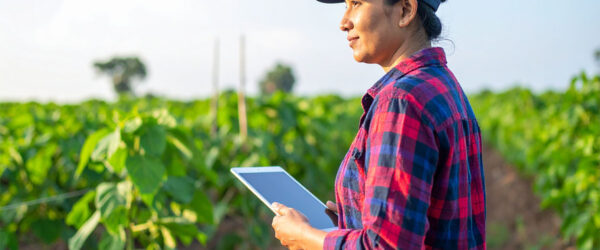 Farmer Holding Tablet A woman wearing a plaid shirt and a cap stands in a field of green plants, holding a tablet and looking thoughtfully towards the horizon under a clear sky.