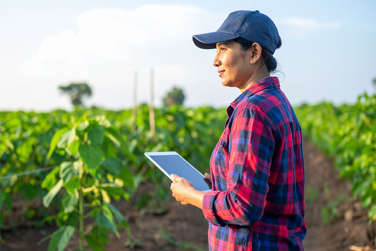 A woman wearing a plaid shirt and a cap stands in a field of green plants, holding a tablet and looking thoughtfully towards the horizon under a clear sky.