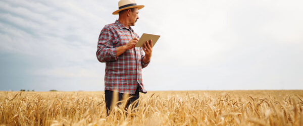 cyber-readiness-for-agribusiness A farmer standing in a field with a tablet.