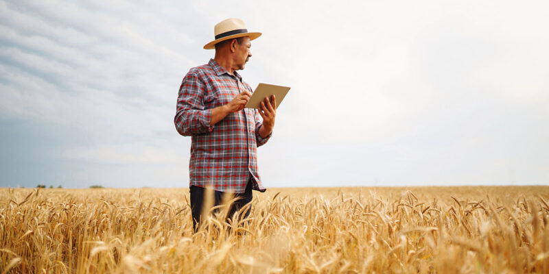 cyber-readiness-for-agribusiness A farmer standing in a field with a tablet.