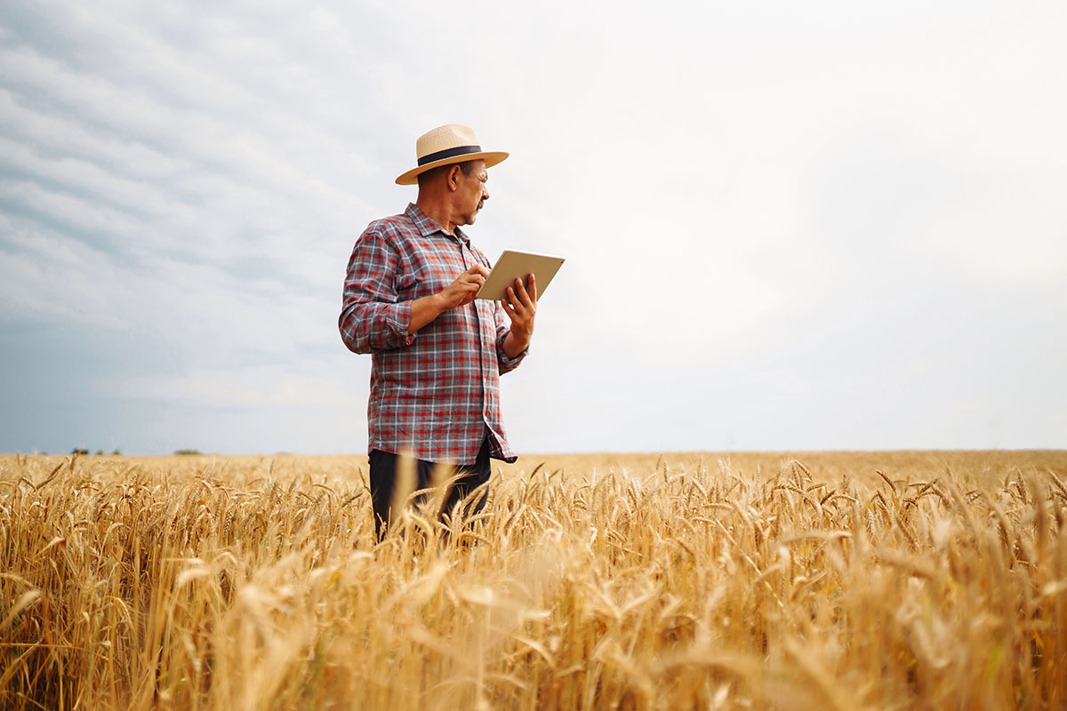A farmer standing in a field with a tablet.
