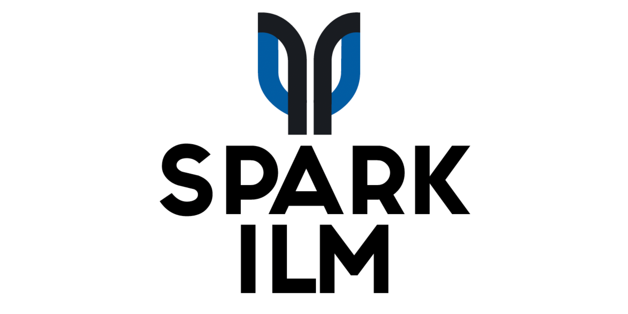 Spark IPM Logo